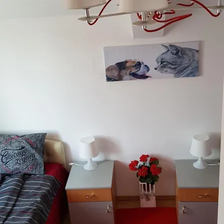 Lux Apartments With Pool Dex Zemun Polje Room photo